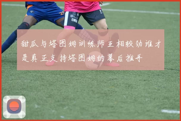 甜瓜与塔图姆训练师互相较劲谁才是真正支持塔图姆的幕后推手